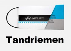 Belt / tandriem