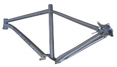 Frame's