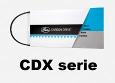 Tandriemen / Belt CDX