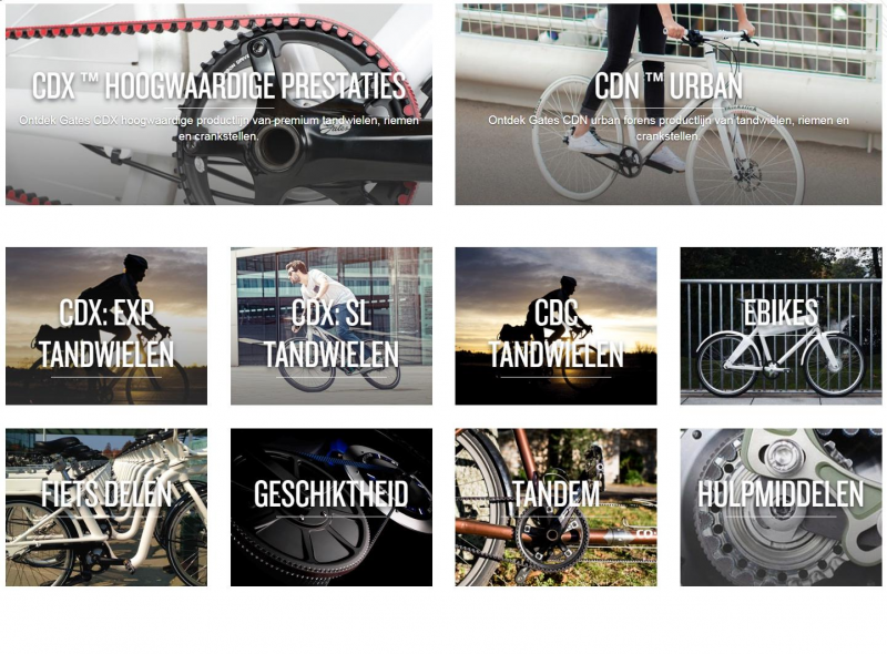 bibikes-gates-pinion-belrdrive-afbeelding