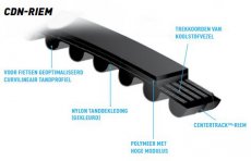 Tandriem 120 tands