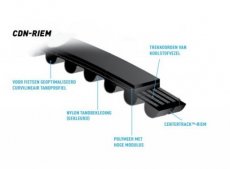 Tandriem 130 tands