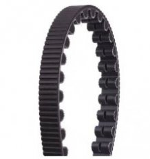 Tandriem 183 tands