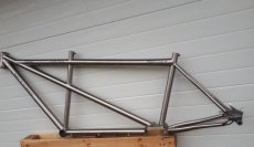Tandem Frame pinion titanium