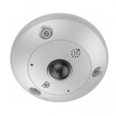 Fish Eye 12MP outdoor
