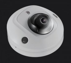 Wedge 2MP met audio