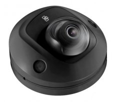Wedge 2MP met audio