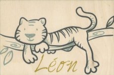 HOUTEN GEBOORTEKAART LEON