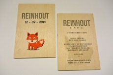 HOUTEN GEBOORTEKAART REINHOUT