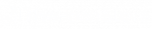 The Food Store