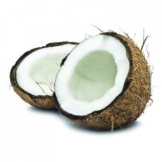 Coconut