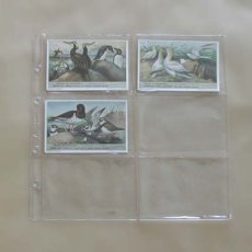Inlegblad Liebig 6 vakken horizontaal, glad