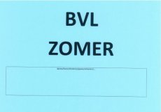 P44a Zomerstock Beveren-Leie