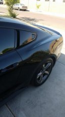 Ford Mustang S550 Louvers Eleanor Mustang S550 Louvers 5 Eleanor