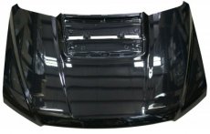 Ford Raptor Motorkap 17-21 17+ Raptor Motorkap