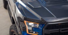 Ford Raptor Motorkap Zij Roosters Carbon 17-21 17+ Raptor Motorkap Zij Roosters Carbon