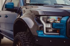 Ford Raptor Spatbord Set WideBody Carbon AC 17-21 17+ Raptor Spatbord Set WideBody Carbon Anderson