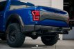 Ford Raptor Spatbordverbreders Achter OE CF 17-21 17+ Raptor Spatbordverbreders Achteraan OE Carbon Anderson
