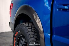 Ford Raptor Spatbordverbreders Achter OE CF 17-21 17+ Raptor Spatbordverbreders Achteraan OE Carbon Anderson
