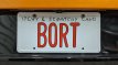 The Simpsons BORT The Simpsons Nummerplaat BORT