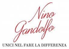 Nino Gandolfo